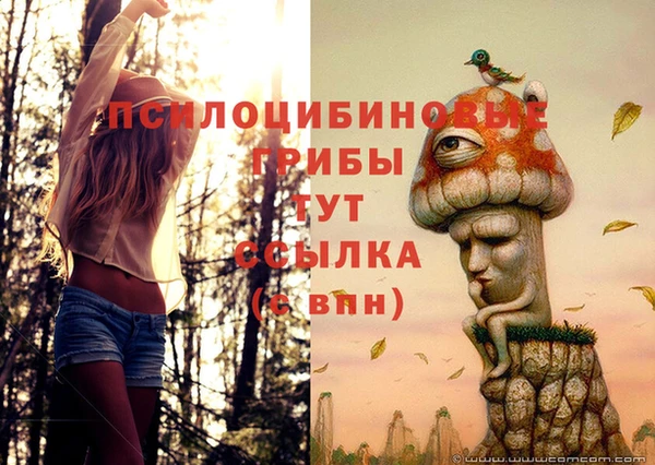 твердый Абаза