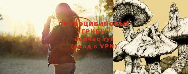 твердый Абаза