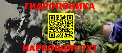 гашик Пенза