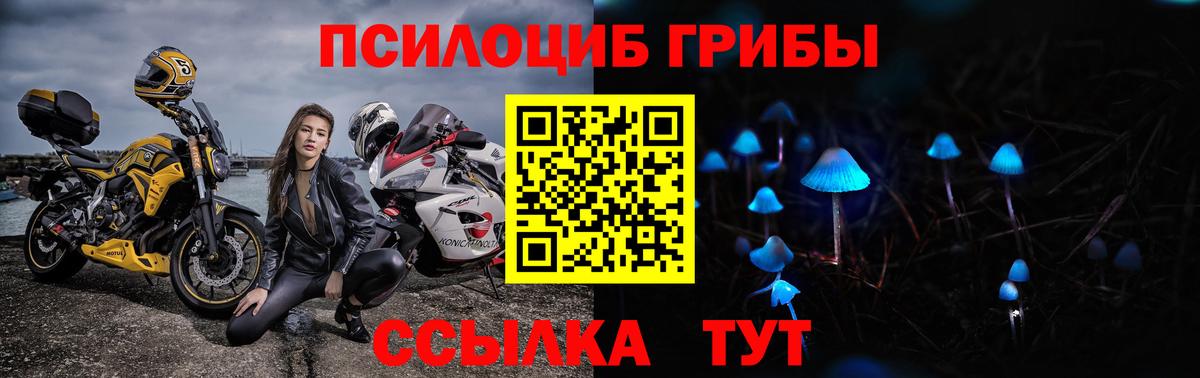 Псилоцибиновые грибы MAGIC MUSHROOMS  Вход с VPN  Ухта  Псилоцибиновые грибы прущие грибы 